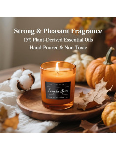 Vela Aromática MOASITN 255g Especias de Calabaza Hecha a Mano 2