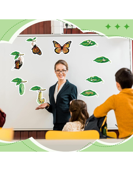 Juguetes Magnéticos Ciclo de Vida Mariposa Relaxweex 9 Piezas Juguetes Magnéticos Ciclo de Vida Mariposa Relaxweex 9 Piezas
