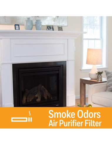 Filtro de Olores a Humo Honeywell HRFSS1 para Purificadores