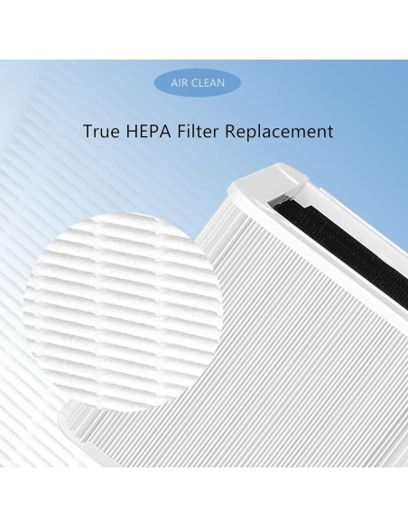 Filtro de Reemplazo HEPA Mixzeny 211+ Auto - Paquete de 2 Filtro de Reemplazo HEPA Mixzeny 211+ Auto - Paquete de 2