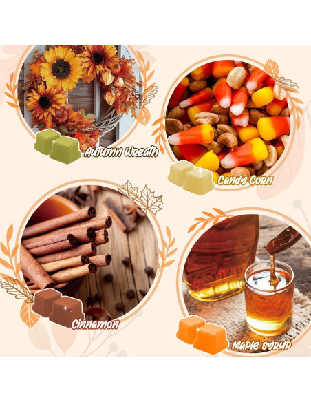 Cera Aromática de Soja SoulOrigin Otoño 6 Fragancias 500g Cera Aromática de Soja SoulOrigin Otoño 6 Fragancias 500g
