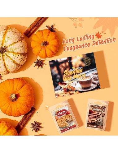 Cera Aromática de Soja SoulOrigin Otoño 6 Fragancias 500g