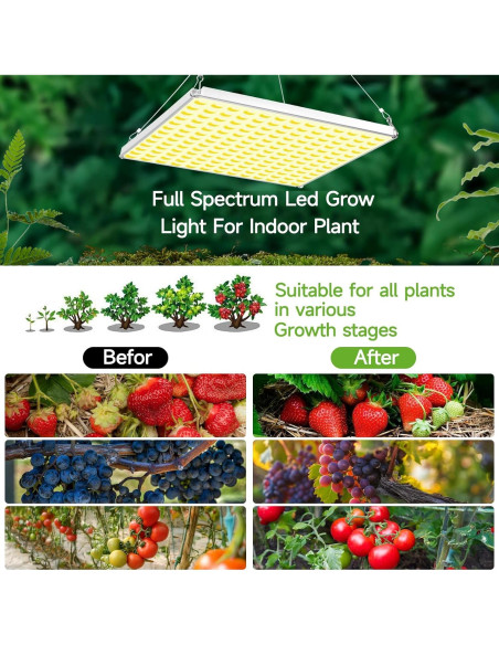 Luz de Cultivo LED 40W CUPAN Espectro Completo para Plantas Luz de Cultivo LED 40W CUPAN Espectro Completo para Plantas