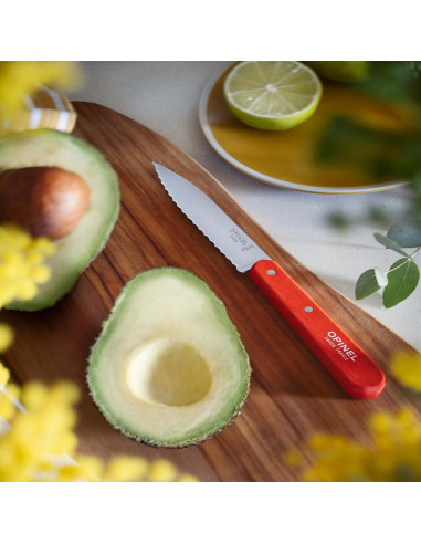 Cuchillo de Pelar Serrado OPINEL Essential No.113 - Mango de Haya Azul
