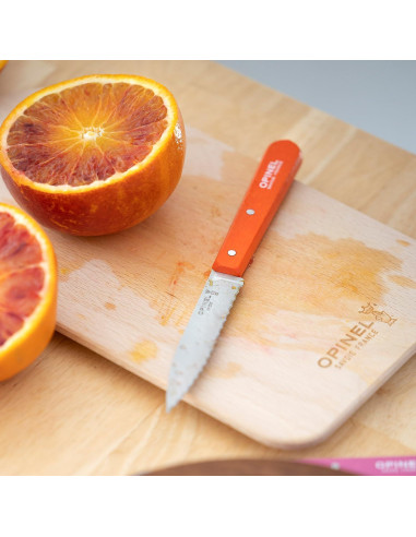 Cuchillo de Pelar Serrado OPINEL Essential No.113 - Mango de Haya Azul