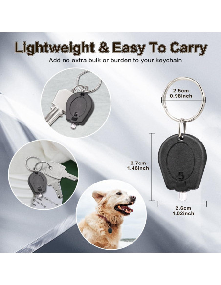 Paquete de 12 Linternas LED RaySoar de Llave Ultra Brillantes Paquete de 12 Linternas LED RaySoar de Llave Ultra Brillantes