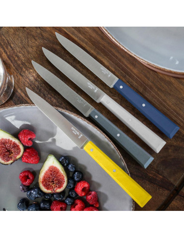 Set de 4 Cuchillos de Mesa Opinel No. 125 Acero Inoxidable