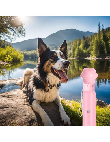 Botella de Agua para Perros Waggle 650ml Rosa Aislada