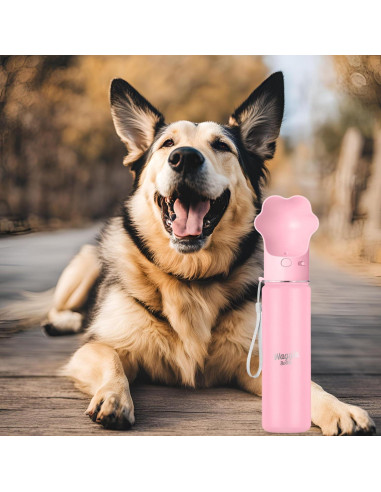 Botella de Agua para Perros Waggle 650ml Rosa Aislada