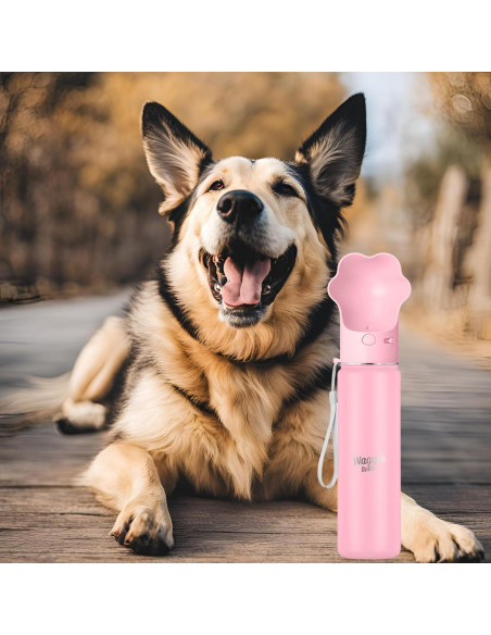 Botella de Agua para Perros Waggle 650ml Rosa Aislada Botella de Agua para Perros Waggle 650ml Rosa Aislada