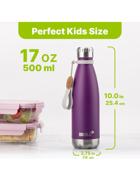 Botella de Agua 502 ml Mollcity Acero Inoxidable Aislada Botella de Agua 502 ml Mollcity Acero Inoxidable Aislada