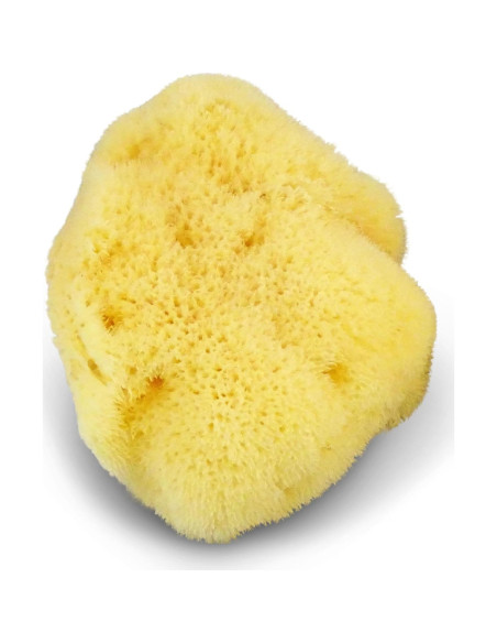 Esponja de Seda Fina Natural para Bebés Contented Infant 10-11cm Esponja de Seda Fina Natural para Bebés Contented Infant 10-11cm