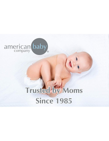 Conjunto de Guardería American Baby Company - Sábana y Manta Gris