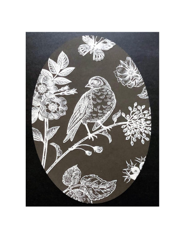 Vinilo Decorativo DCentral Pájaro y Mariposa 20x30 cm