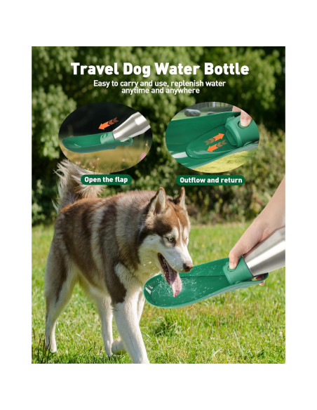 Botella de Agua para Perros PETNF 0.8L Acero Inoxidable Verde Botella de Agua para Perros PETNF 0.8L Acero Inoxidable Verde