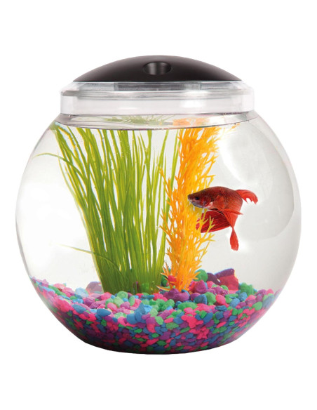 Acuario de 3.8 Litros SW PRODUCTS con Iluminación LED 7 Colores Acuario de 3.8 Litros SW PRODUCTS con Iluminación LED 7 Colores