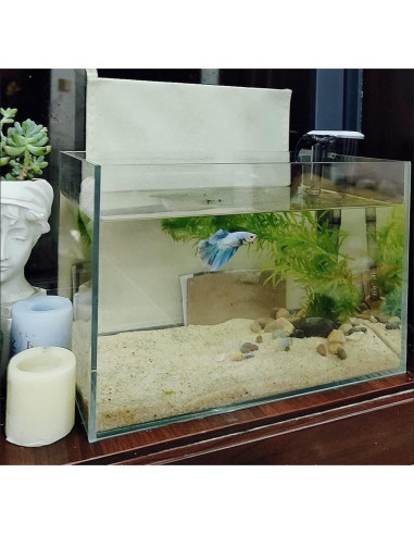 Acuario Nano Sin Borde 2.85 Galones Awxzom 30x17x20 cm
