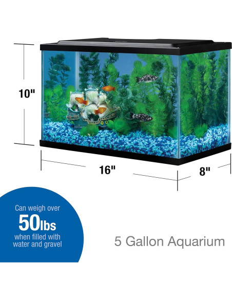 Acuario de vidrio Tetra 21 litros rectangular 40.64x20.32x25.4 cm Acuario de vidrio Tetra 21 litros rectangular 40.64x20.32x25.4 cm