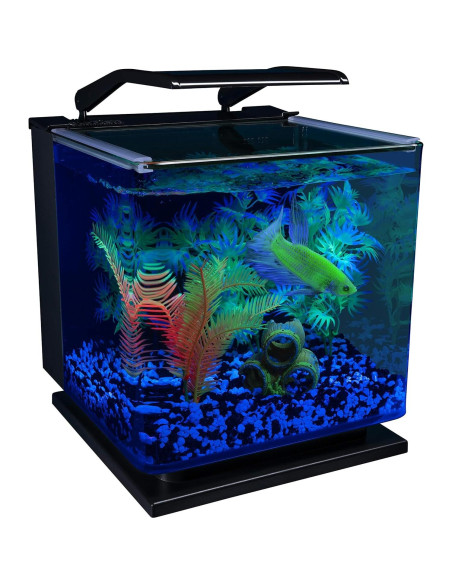 Kit Acuario GloFish Betta 11.36L con LED y Filtro Tetra Kit Acuario GloFish Betta 11.36L con LED y Filtro Tetra