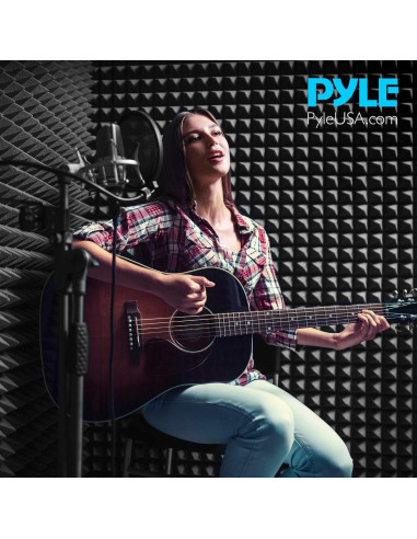 Panel Acústico Pyle Absorbente de Sonido con Soporte Ajustable