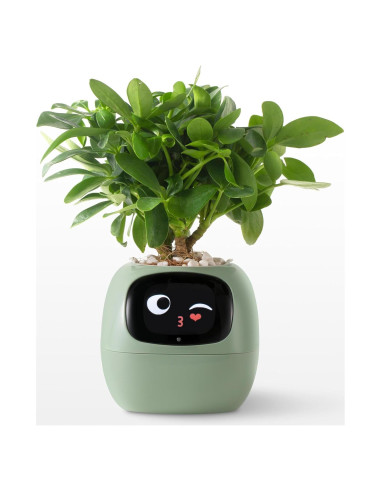 Maceta Inteligente Moltrion Plantagotchi Verde con IA
