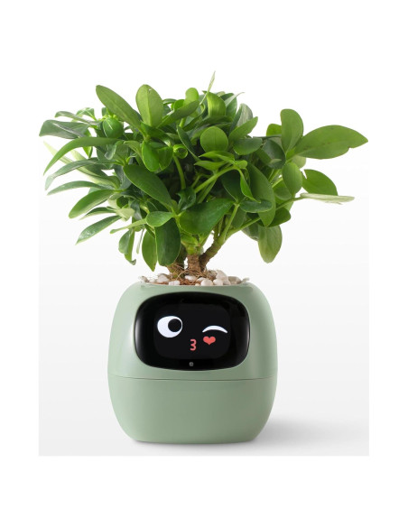 Maceta Inteligente Moltrion Plantagotchi Verde con IA Maceta Inteligente Moltrion Plantagotchi Verde con IA