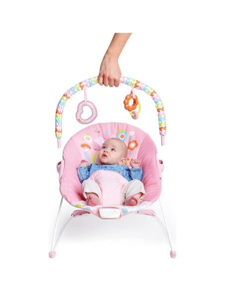 Asiento de rebote para bebés Bright Starts Unicornio Rosa 0-9 kg Asiento de rebote para bebés Bright Starts Unicornio Rosa 0-9 kg