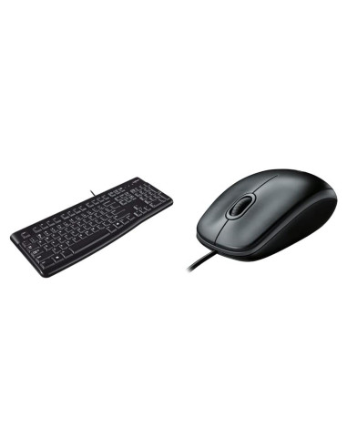 Teclado Ergonomico Logitech K120 USB + Ratón B100 Negro