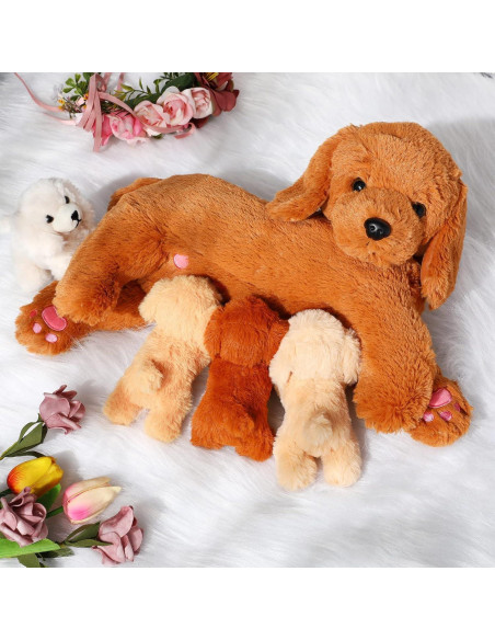 Conjunto de Peluches Golden Retriever HyDren 5 Piezas 40 cm Conjunto de Peluches Golden Retriever HyDren 5 Piezas 40 cm