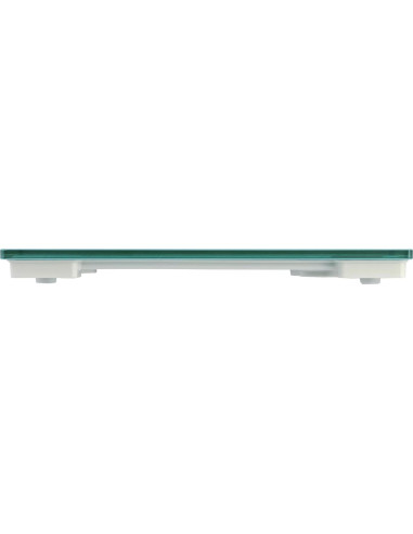 Báscula Digital de Vidrio Taylor 158.8 kg Azul Pizarra