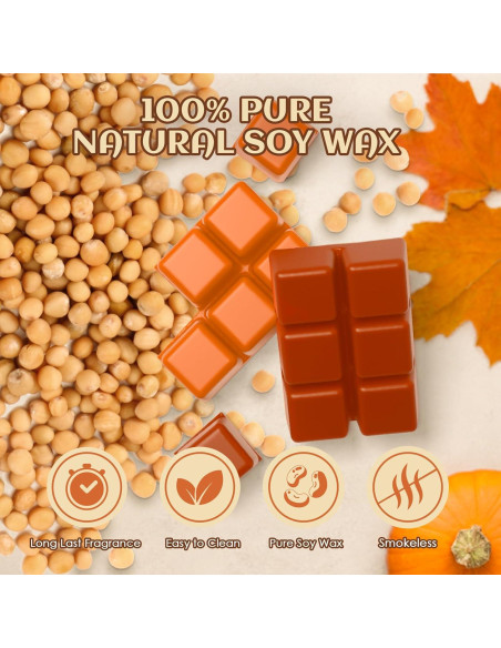 Cera Aromática de Otoño Snowsen - 8 Cubos de Soja con Aroma Cera Aromática de Otoño Snowsen - 8 Cubos de Soja con Aroma