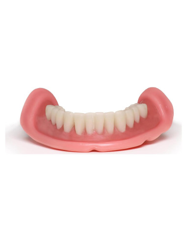 Dentadura Funcional Easy Denture Mediana/Grande Inferior
