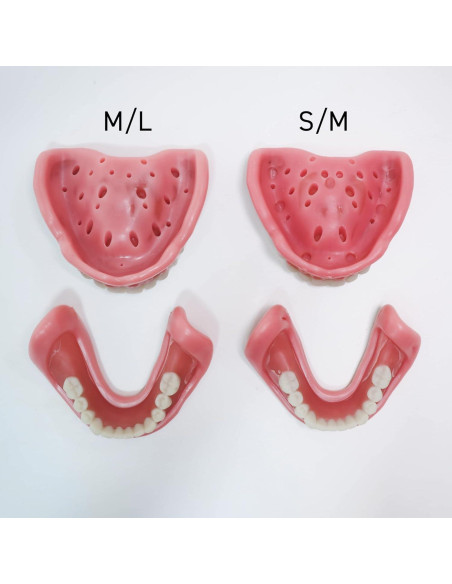 Dentadura Funcional Easy Denture Mediana/Grande Inferior Dentadura Funcional Easy Denture Mediana/Grande Inferior