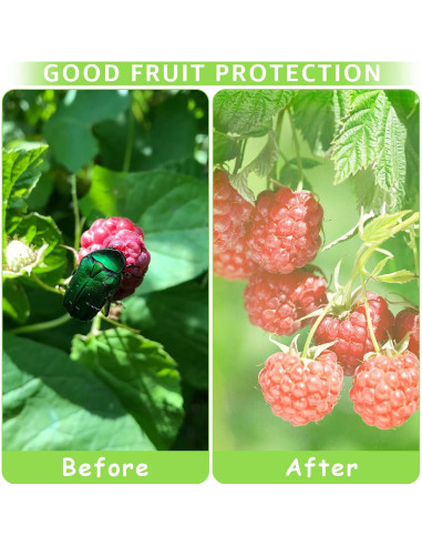 Bolsas de Protección para Frutas MIXC 20x30cm - 50 Pcs
