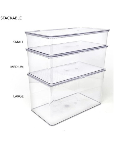 Contenedor Organizador Apilable Isaac Jacobs 27.3x16.5x6.1cm Transparente