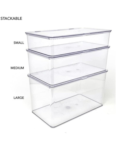 Contenedor Organizador Apilable Isaac Jacobs 27.3x16.5x6.1cm Transparente Contenedor Organizador Apilable Isaac Jacobs 27.3x16.5x6.1cm Transparente
