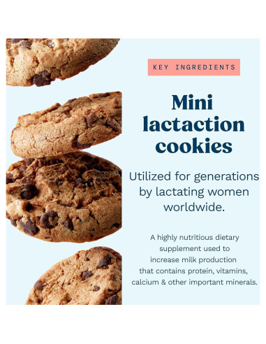 Galletas de Lactancia Mommy Knows Best - Chispas de Chocolate - 283.5g