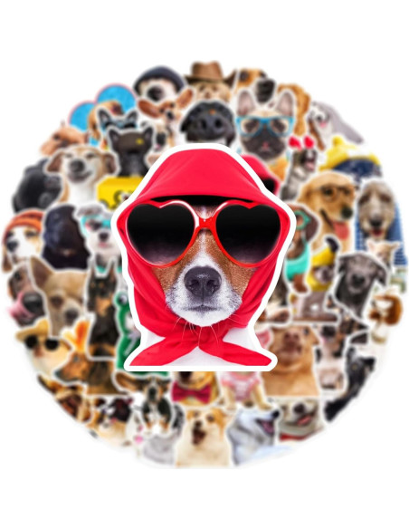 50 Pegatinas Divertidas de Perro Aigemumy Impermeables 50 Pegatinas Divertidas de Perro Aigemumy Impermeables