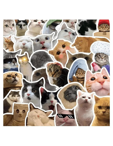 Pegatinas de Gato Kawaii STICKLUV - 50 Pcs Impermeables