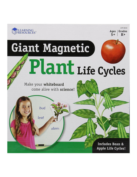 Ciclo de Vida de Plantas Magnético Gigante Learning Resources - 12 Piezas Ciclo de Vida de Plantas Magnético Gigante Learning Resources - 12 Piezas