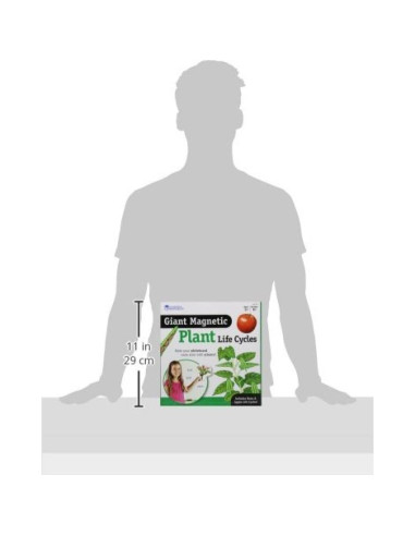 Ciclo de Vida de Plantas Magnético Gigante Learning Resources - 12 Piezas