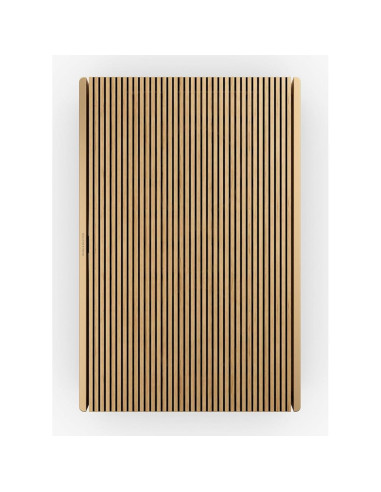 Altavoz Portátil Bang & Olufsen Beosound Level Dorado
