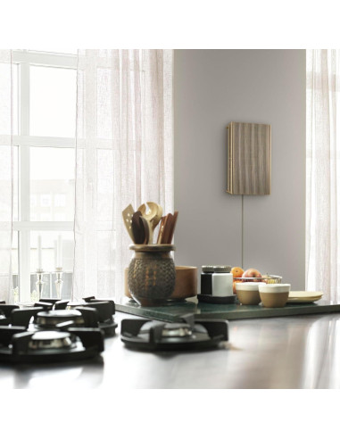 Altavoz Portátil Bang & Olufsen Beosound Level Dorado