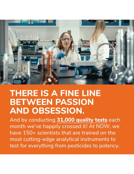 Suplemento de Echinacea NOW 400 mg 250 Cápsulas Veganas Suplemento de Echinacea NOW 400 mg 250 Cápsulas Veganas