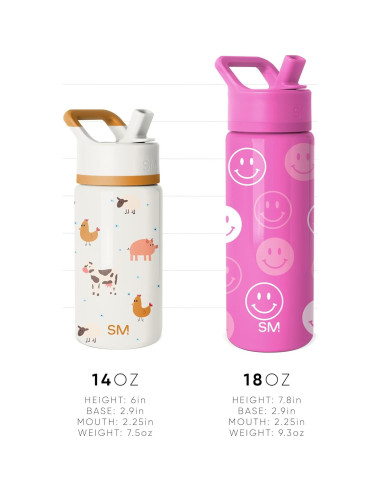 Botella de Agua Simple Modern Disney Encanto 532ml Aislada