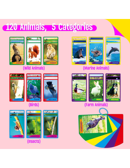 Tarjetas Didácticas de Animales 60PCS SpriteGru Tarjetas Didácticas de Animales 60PCS SpriteGru