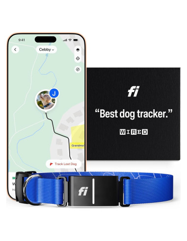 Collar GPS Inteligente Fi Series 3 para Perros Grande Azul
