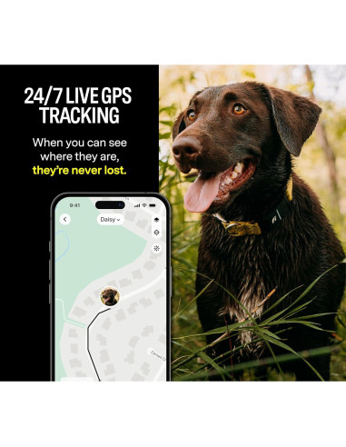 Collar GPS Inteligente Fi Series 3 para Perros Grande Azul