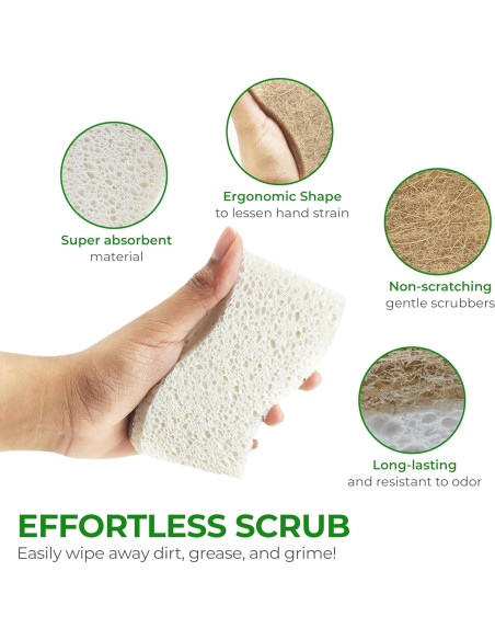 Esponjas de Cocina Ecológicas AIRNEX - 12 Unidades Biodegradables Esponjas de Cocina Ecológicas AIRNEX - 12 Unidades Biodegradables