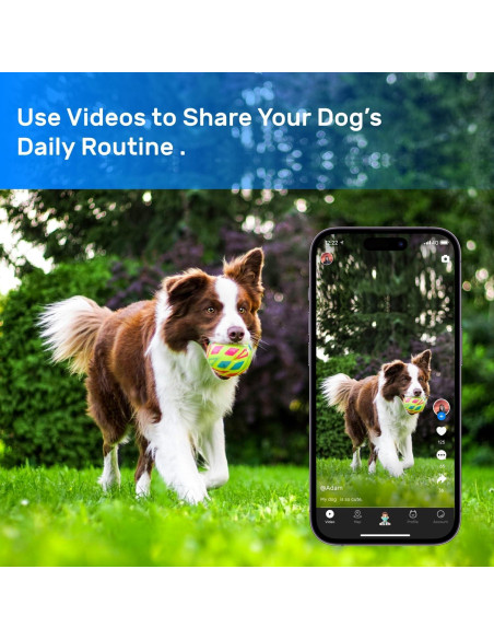 Rastreador GPS para perros DBDD IP67 con alertas y monitoreo Rastreador GPS para perros DBDD IP67 con alertas y monitoreo